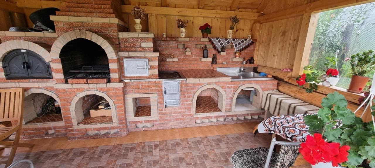 Pensiunea Catalina Moldova Sulita Ngoại thất bức ảnh