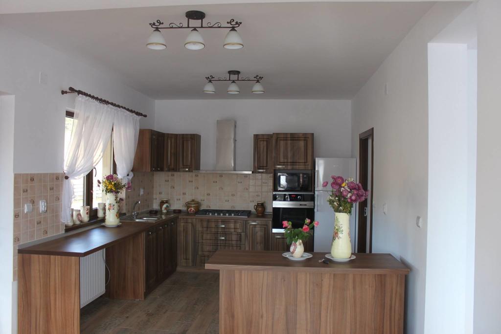 Pensiunea Catalina Moldova Sulita Ngoại thất bức ảnh